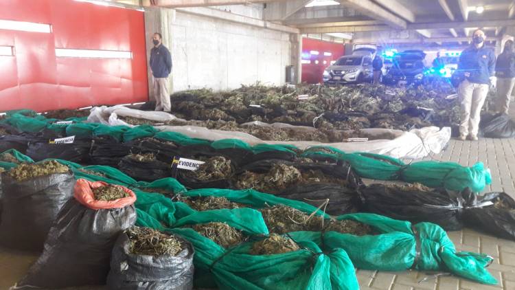 PDI desarticuló banda narco en la Región del Ñuble con nexos en Longaví