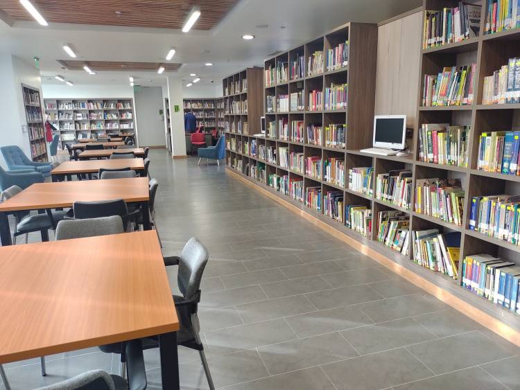 Linares en el top ten del circuito de bibliotecas en Chile