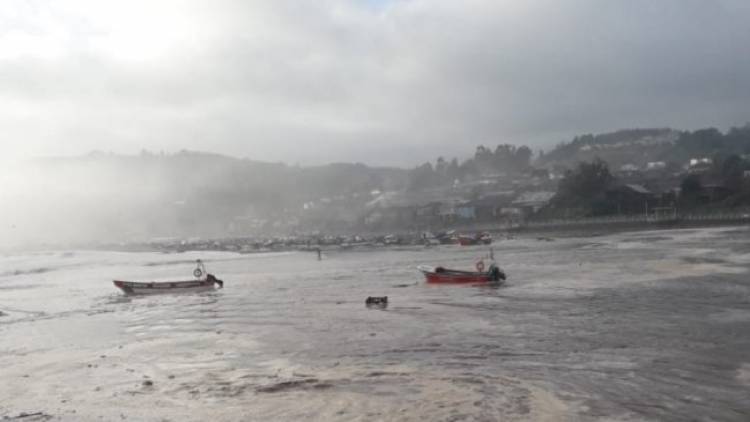 Marejadas en el Maule: Senadora Rincón pide urgente ayuda para pescadores artesanales afectados