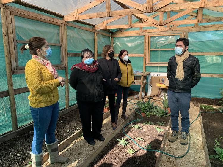 Panimávida cuenta con un herbario gracias al apoyo de la Municipalidad de Colbún