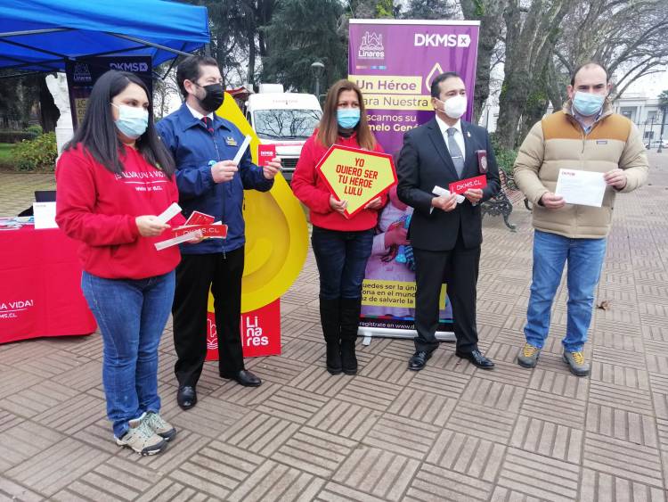 Campaña social “Un héroe para Lulú”