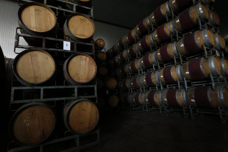 El Maule lideró aumento del 29,9 por ciento de la producción de vinos