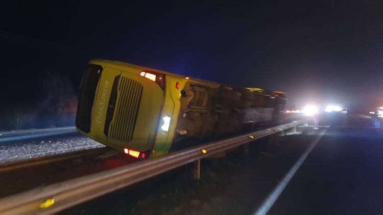 Nueve personas lesionadas y cinco caballos muertos es el saldo de accidente de tránsito en la Ruta Cinco sur entre Longaví y Linares